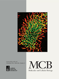 Cover image for Molecular and Cellular Biology, Volume 36, Issue 21, 2016