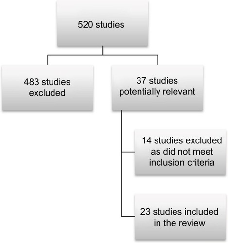 Figure 1 Flowchart of literature search.