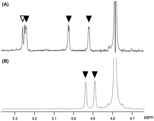 Fig. 3. 1H NMR spectra of tetrasaccharide 1 (A) and disaccharide 2 (B).Note: The anomeric signals of α-glucose and α-mannose residues are indicated by white and black arrow, respectively.