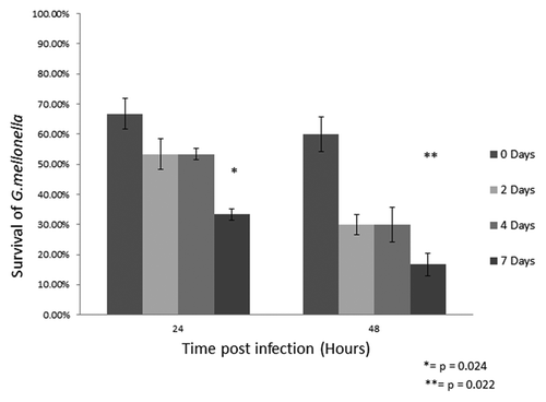 Figure 2. Survival of G. mellonella larvae deprived of food for 0, 2, 4 and 7 d prior to inoculation with 1 × 106/20 µL C. albicans cells. For assessment of larval death, larvae were probed with a needle and if no response was observed the larvae were deemed to be dead. The statistics were based on the values obtained from the unstarved larvae (*p < 0.05).