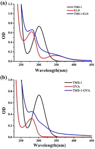 Figure 3. Ultraviolet−visible absorption spectra of immunogen TMS-1-KLH (a) and coating antigen TMS-1-OVA (b).