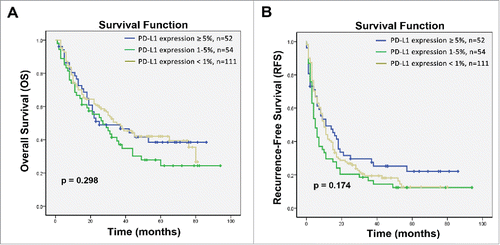 Figure 4. Kaplan–Meier curves for HCC patients who received hepatectomy alone based on expression of PD-L1 on tumor cells. (A) Overall survival (OS) and (B) recurrence-free survival (RFS) curves are shown. No correlation with PD-L1 expression was observed with the OS of RFS rates of patients with HCC; p values were calculated using the log-rank test.