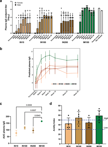 Figure 2. LecA vaccine elicited a strong systemic antibody response. (a) Anti-LecA plasma IgG endpoint titers. Each group (n = 7 or 6) was immunized three times either intranasally or intramuscularly at a 3-week interval with LecA+GLA-3M-052 liposome formulation. Pre-immune samples collected a week prior to the first immunization served as a negative control. Samples were then collected at the time points noted in Figure 1 (Weeks 1, 4, 7, 10, 14, 21, and 30). All plasma samples were serially diluted and analyzed for LecA-specific antibody levels by ELISA. Any OD value ≤ 0.5 at a 1:8000 dilution of plasma was considered as negative/background based on the pilot runs. Endpoint titers were plotted for all the time points. A plasma sample from an infected human individual collected 28 d after PCR positive detection (human control) as well as a sample from a naturally infected animal (nat. infected) from the same colony identified during the pre-immunization screening were used as positive controls. Plasma from healthy human individuals or naïve animals acted as negative controls and showed background signal (not shown). Data are represented as mean ± SD. (b) Regression analysis. Same data plotted after adjusting for age, sex, and weight. (c) Integrated AUC analysis. Data are represented as mean ± SEM. (d) Avidity index. Plasma dilutions that gave an OD450 nm = 1.0 were determined using Week 10 samples. ELISAs for anti-LecA IgG titers were run as described in two plates in parallel. One plate received standard PBST washes, while the other was washed using 6 M urea. Avidity Index (AI %) was expressed as follows: AI = [(absorbance of urea-treated sample/absorbance of non-urea-treated matched sample) × 100]. All samples were run in triplicate. Data are represented as mean ± SD.