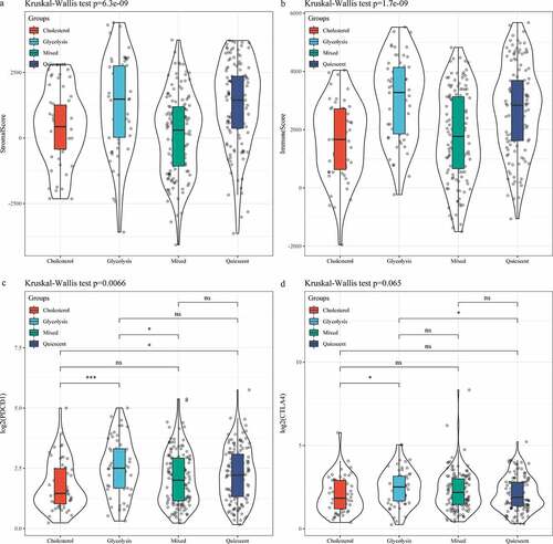 Figure 5. Analysis of and immune score in subtypes. A: Distribution of StromalScore in four subtypes. B: Distribution of ImmuneScore in four subtypes. C: PDCD1 expression of in four subtypes. D: CTLA4 expression of in four subtypes