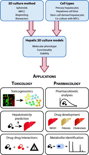 Figure 1. 3D culture models of primary human liver cells constitute versatile tools for a multitude of applications in toxicology and pharmacology. Different 3D culture paradigms have been presented that are compatible with the culture of human hepatocytes or hepatocyte-like cells in mono-culture or in co-culture with non-parenchymal liver cells (NPCs). Figure modified with permission from Lauschke et al. (Citation2019).