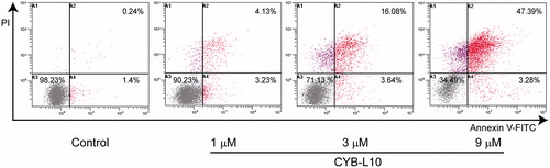 Figure 2. The flow cytometry histograms analysis. HCT116 cells were treated with CYB-L10 at 1, 3, and 9 μM, respectively for 24 h (n = 3).