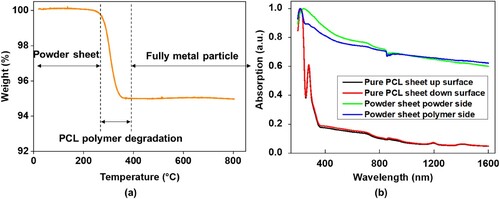 Figure 5. (a) TGA of SS304 powder sheet. (b) Absorption spectra for SS304 powder sheet and pure PCL polymer sheet, measured from each side.