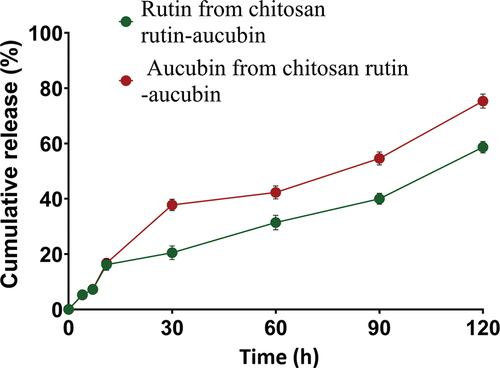 Figure 2. In vitro release kinetics of chitosan-rutin-aucubin.