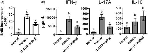 Figure 6. Effects of galangin on DC-T cell co-cultures. Splenic CD11c+ DC from EAE mice (with or without galangin treatment) were cultured with CD4+ T-cells from EAE mice, then stimulated with MOG peptide. (A) T-Cell proliferation (BrdU incorporation) and (B) cytokine levels in culture media (ELISA). Representative data is from at least three independent experiments. Data expressed as means ± SEM. *p < 0.05; **p < 0.01; ***p < 0.001.