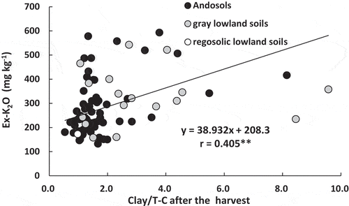 Figure 1. Relationship between the Clay/T-C value and Ex-K2O content in the soil after the harvest in 2012.