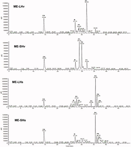 Figure 1. HPLC-DAD chromatograms of the methanol extracts (ME) from leaves (L) and stems (S) of Helicteres vegae (Hv) and Heliopsis sinaloensis (Hs). The identity of the major phenolics (flavonoids F and phenolic acids P) is shown in Table 1. Peaks for the commercial standards are CA (caffeic acid) and R (rutin).