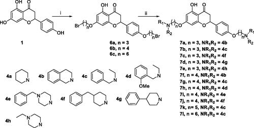 Scheme 2. Synthesis of 7,4’-O-modified naringenin derivatives 7a–7l. Reagents and conditions: (i) Br(CH2)nBr (2a, 2b and 2d), K2CO3, CH3CN, 65 °C, 10–15 h; (ii) R1R2NH (4a–4h), K2CO3, CH3CN, 65 °C 8–12 h.