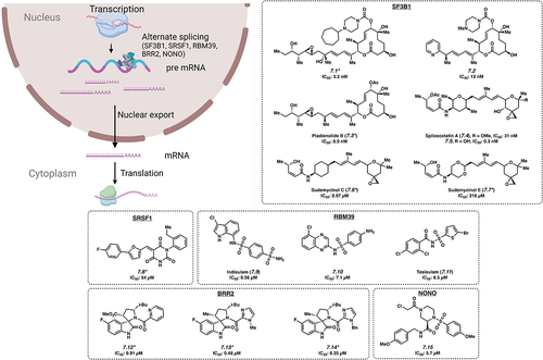 Figure 2. Small molecule inhibitors of pre-mRNA splicing. *Mechanism of action for inhibition not reported. Please see text for further details.