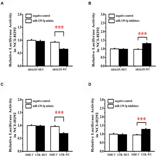 Figure 10 miR-139-3p targets ABALON and NOB1. (A) MiR-139-3p mimics target binding and reduce ABALON expression. (B) MiR-139-3p inhibitors can increase the activity of ABALON. (C) MiR-139-3p mimics target binding and reduce NOB1 expression. (D) MiR-139-3p inhibitors can increase the activity of NOB1. ***<0.001.