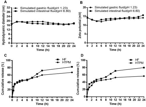 Figure 3 Stability of HTPM and in vitro drug release profiles of HF and HTPM in the simulated gastrointestinal fluids. The stability of HTPM in the simulated gastric (pH 1.23) and intestinal (pH 6.8) fluids were evaluated by the change of hydrodynamic diameter (A) and zeta potential (B) during 1-day storage. In vitro drug release profiles of HTPM and HF in the simulated gastric (C) and intestinal (D) fluids were investigated using the dialysis bag method.