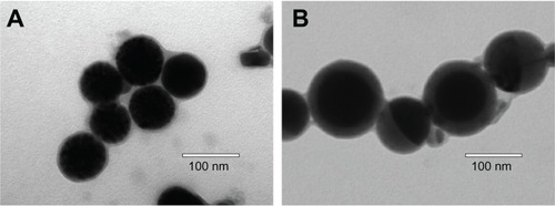 Figure 6 The representative transmission electron microscopy photographs of blank (A) and docetaxel-loaded (B) PEG-PRL3 micelles.Abbreviations: PEG, poly(ethylene glycol); PRL, poly(racemic-leucine).