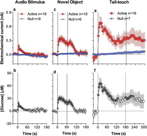 Figure 20. Mean (±SEM) changes in electrochemical currents detected by glucose and glucose-null sensors (A, C, E) and resulting changes in [glucose] (B, D, F induced by different sensory stimuli in freely moving rats. Data for audio stimulus and novel object are shown with 2-s time resolution, and tail-touch shown with 4-s time resolution. Original data were published in [Citation175]; the picture was reproduced in [Citation187] (ACS Chemical Neuroscience; open access publication).