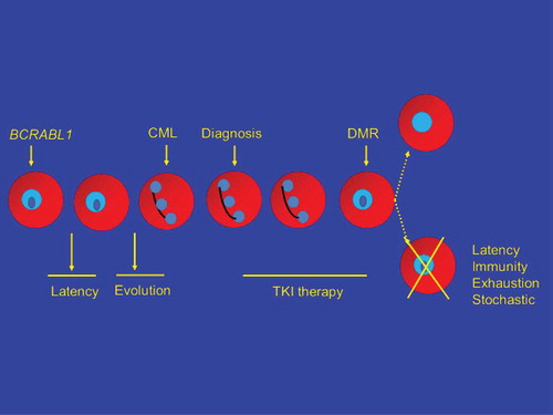 Figure 3. Indirect eradication or control of CML.