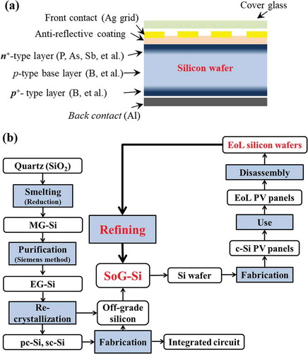 Figure 2. (a) A typical structure of c-Si PV cell, and (b) a schematic recycling loop of the silicon wafers from EoL PV panels. MG-Si: Metallurgical grade silicon; EG-Si: electronic grade silicon; pc-Si: poly-crystalline silicon; sc-Si: single-crystalline silicon; SoG-Si: Solar grade silicon; EoL: end-of-life; PV panels: photovoltaic panels.