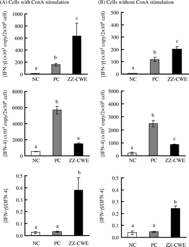 Figure 5.  Splenocyte gene expression of IFN-γ and IL-4 in hypersensitised versus non-hypersensitised mice. Ten mice per group in each of ZZ-CWE-treated, negative control (NC) and parallel control (PC) groups were treated as described in the Methods and materials section. Splenocytes were cultured with or without the addition of 10 µg ConA/2×106 cells/ml/well and incubated at 37oC for 24 h. Means annotated with different superscripts were significantly different (p<0.05).