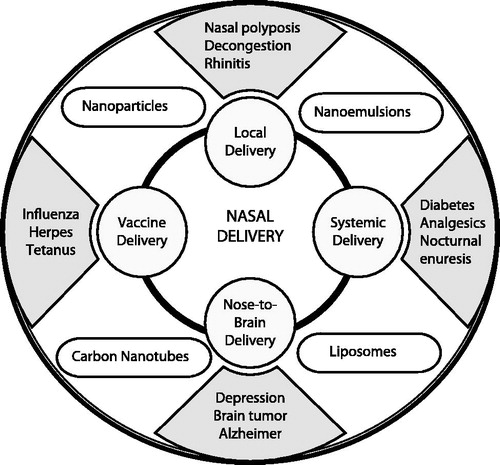 Figure 1. Potential of nasal delivery.