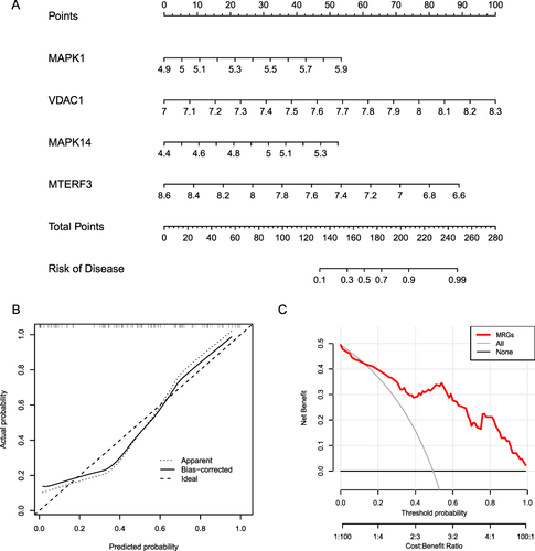 Figure 10 Construction of risk model. (A) Risk model nomogram. Each gene expression corresponds to a score, and the final total score corresponds to the AF risk. (B) Model calibration curve. The diagonal line shows the ideal curve, while the floating-point line and the solid line show the model curve before and after correction, respectively. The closer the two fit the diagonal, the better the model discrimination. (C) Clinical decision curve. Red is the decision curve after inclusion in the screening of DEMRGs, gray is the decision curve of all genes, and black is the decision curve without including any genes. After including screened DEMRGs, the model showed higher clinical relevance.