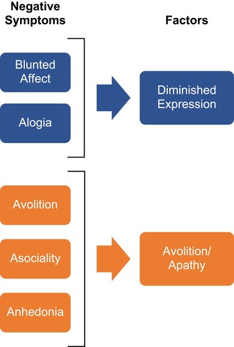 Figure 3 Key negative symptom constructs. Blunted affect=decreased expression of emotion; alogia=reduction in quantity of words spoken; avolition=reduced initiation and persistence of goal-directed activity due to decreased motivation; asociality=reduced social interactions and initiative due to decreased interest in relationships with others; anhedonia=reduced experience of pleasure during an activity or in anticipation of an activity.