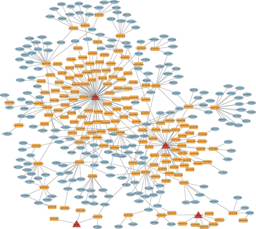 Figure 10. ceRNA network in dilated cardiomyopathy and myocardial infarction.The red triangles represent 4-DE-FRG. The orange squares represent miRNAs. The green ovals represent mRNAs or lncRNAs.DE-FRG: Differentially expressed fatty acid metabolism related gene.