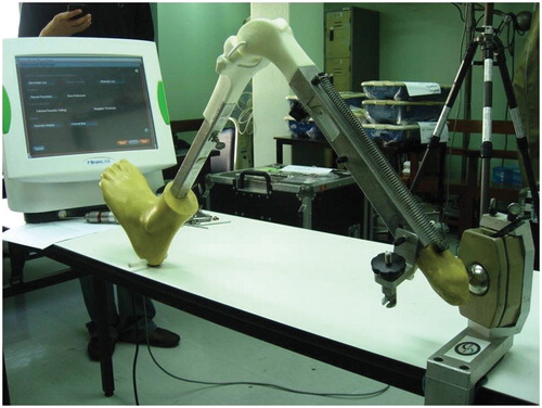 Figure 3. The knee insert bone model was fitted into a MITA Knee Trainer Leg workstation. The ball-and-socket joint of the hip in this workstation can pivot freely, allowing the surgeon to find the center of rotation of the hip. During the operation, the knee can move in the sagittal plane until full flexion or extension is attained.