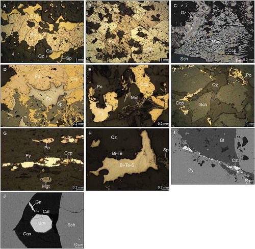 Figure 9. Reflected light (G–H) and backscattered electron (I, J) images of the mineralisation at the Liikavaara Östra Cu-(W-Au) deposit. A. Chalcopyrite and pyrrhotite surrounded by calcite in a quartz vein. B. Pyrite and pyrrhotite with quartz in aplite. C. Skeletal pyrite and marcasite replacing chalcopyrite associated with pyrrhotite and scheelite in a quartz vein. D. Assemblage of chalcopyrite, pyrrhotite, sphalerite and galena in a quartz-tourmaline-calcite vein. E. Molybdenite associated with chalcopyrite, pyrite and pyrrhotite in a quartz vein. F. Scheelite grains partly associated with chalcopyrite and pyrrhotite in a quartz vein within aplite. G. Disseminated chalcopyrite, pyrite, pyrrhotite and magnetite in biotite schist. H. Intergrowth of a Bi-telluride and a Bi-Te-sulphide next to sphalerite in a quartz vein. I. Cassiterite inclusions at the edge of pyrite next to biotite. J. Euhedral uraninite with calcite and galena in a chalcopyrite-filled crack within scheelite. Abbreviations: Cal – calcite, Ccp – chalcopyrite, Cst – cassiterite, Gn – galena, Mcs – marcasite, Mgt – magnetite, Mol – molybdenite, Po – pyrrhotite, Py – pyrite, Qz – quartz, Sch – scheelite, Sp – sphalerite, Urn – uraninite.
