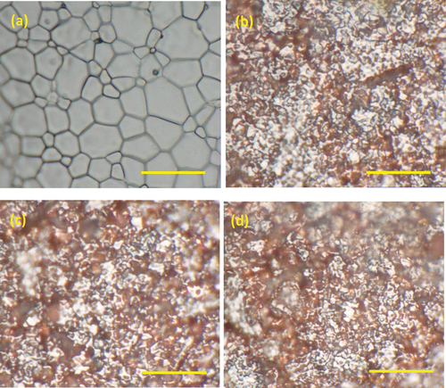 Figure 3. Optical images of the surface of the pellets (a) before immersion, and after immersion in (b) 0 mM, (c) 10 mM and (d) 50 mM bicarbonate solution (5000x magnification, scale bar = 10 µm).