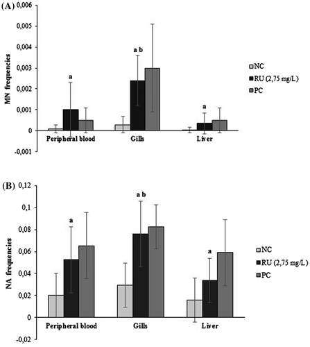 Figure 2. Mean frequencies (± standard deviation) of MN (A) and NA (B) observed in erythrocytes, gill cells and hepatocytes of P. mesopotamicus after 96 h of exposure to Roundup Full II® (RU) with their respective positive (PC) and negative (NC) control groups. aSignificant difference from NC (p < 0. 05). bSignificant differences between tissues responses (p < 0. 05).