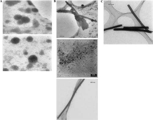 Figure 1.  TEM images of the synthesized nano structures (the amorphous background structures are part of the TEM grid). (A) S=3, time = 30 h; (B) S=3, time = 12 h; (C) S=3, time = 18 h.