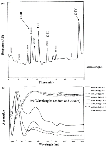 Figure 3.  (A) HPLC diode-array of cardiac glycosides constituents of fraction A and (B) Its UV-detection at 245 and 225 nm wavelengths.