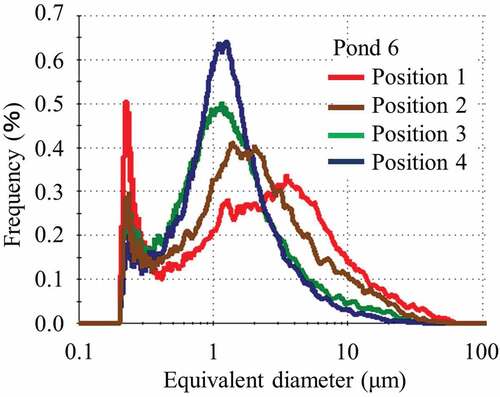 Figure 6. Particle size distribution in the range of 0.2 to 100 μm of classified soil with a particle size of less than 53 μm sampled in pond 6