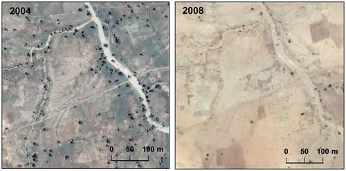 Figure 8. Example for decrease in woody vegetation within the study area between 2004 and 2008.