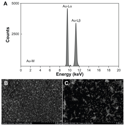 Figure 6 (A) Energy dispersive spectroscopy pattern of Au/GCE electrode. Scanning electron microscopic images of (B) Au/GCE and (C) Ab1/Au/GCE.Abbreviation: GCE, glass carbon electrode.