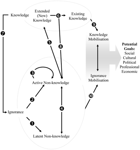 Figure 2 Dynamic model of knowledge and ignorance mobilizationNote: *Numbering is for ease of reference. Arrows are conceptual and sometimes depict causal relationships.