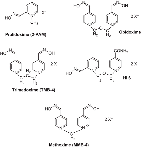 Figure 1.  Chemical structures of important oximes.