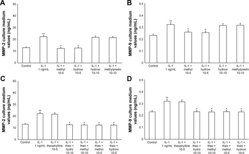 Figure 6 Primary HBECs under IL-1 (1 ng/mL) stimuli in the presence or absence of either methylprednisone (10−5 M) or hydrocortisone (10−10 M) in a 24-h treatment. (A) MMP-2 and (B) MMP-9 expression in the absence of theophylline. (C) MMP-2 and (D) MMP-9 expression in the presence of theophylline (10−5 M). Protein levels were determined by Western blot analysis.