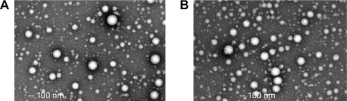Figure 1 Transmission electron microscope images of CM-HSANPs (A) and F-CM-HSANPs (B) (×20,000).