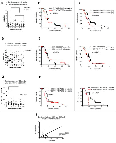 Figure 5 (See previous page). Higher levels of CD4+CD57+ and CD4+CD57+CD28− T cells are associated with poor survival in GBM patients using median values as a cut-off for Kaplan–Meier analysis. Direct correlation between expression of CD57 and loss of CD28 on T cells was observed. (A) GBM patients with short-term survival time had significantly higher levels of CD4+CD57+ cells at 3 and 24 weeks after surgery than long-term survivors. (B) Survival did not differ in patients with high vs. low levels of CD4+CD57+ T cell at baseline (C). GBM patients with higher levels of CD4+CD57+ T cells have shorter overall survival than those with lower levels of these cells. (D) Among GBM patients, short-term survivors had significantly higher levels of CD8+CD57+ cells at 24 weeks after surgery than long-term survivors. (E and F) Survival did not differ in patients with high vs. low levels of CD8+CD57+ cells before and 3 weeks after surgery. (G) GBM patients with shorter survival times (<20 mo) had significantly higher levels CD4+CD57+CD28− cells 3 weeks after surgery than those with long-term survival. (H) Survival did not differ in patients with high vs. low levels of CD4+CD57+CD28− cells at baseline. (I) GBM patients with higher levels of CD4+CD57+CD28− cells have shorter overall survival than those with lower levels of these cells. (J) Linear regression analysis of direct correlation between expression of CD57 and loss of CD28 on CD4+ cells.