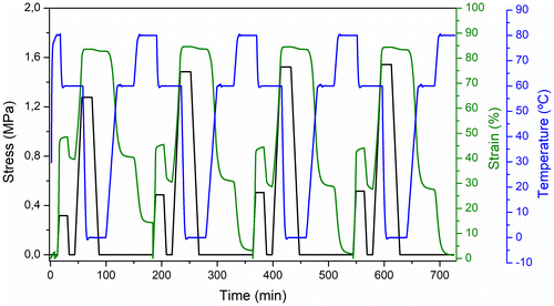 Figure 13. Triple-shape thermo-mechanical cycles of SU1SiO2.