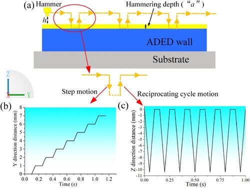 Figure 7. Decomposition of hammer motion during hammering process, (a) Hammering operation schematic diagram, (b): Hammering motion law in the Y direction (local), (c): Hammering motion law in the Z direction (local).
