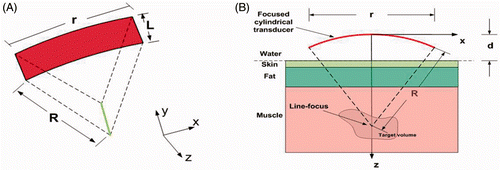 Figure 2. Schematic diagrams of a SonoKnife transducer for the layered medium model. (A) A perspective 3D view. (B) Cross-sectional view (y = 0) showing the water, skin, fat and muscle layers which were used in the simulations. Where R = 60 mm, r = 60 mm, L = 30 mm and d = 30 mm.