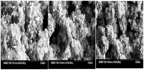 Figure 5. SEM image of lyophilized SLN powder (FC3 formulation) at different magnifications.