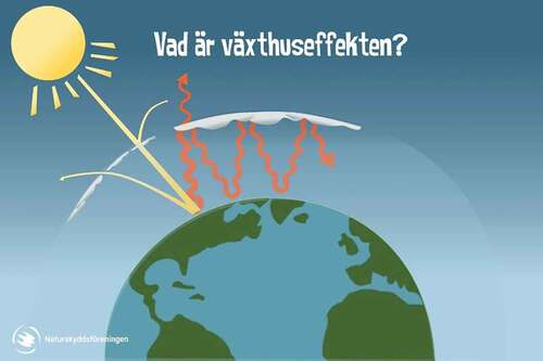 Figure 2. ‘What is the greenhouse effect?’ (2017, © Swedish Society for Nature Conservation).