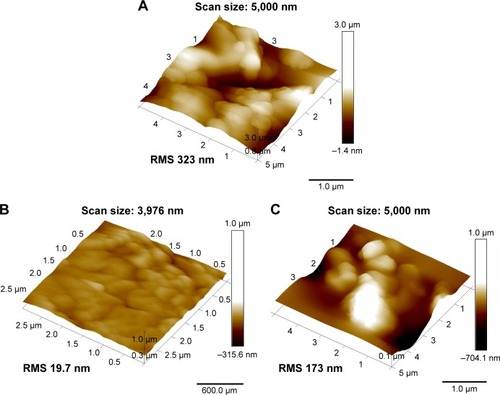 Figure 3 AFM images of bosentan microparticles.