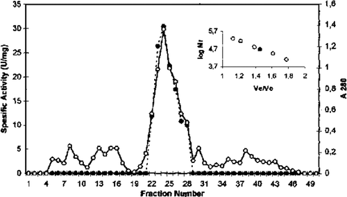 Figure 3.  Sephadex G-100 gel filtration chromatography of chicken erythrocyte GST. (…•…) GST activity, (—o—) absorbance at 280 nm.