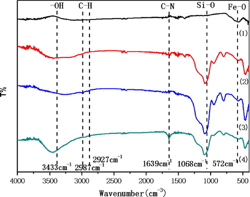 Figure 3. FTIR spectra of nanoparticles (1) Fe3O4, (2) Fe3O4@SiO2, (3) Fe3O4@SiO2@propylchloride, (4) Fe3O4@SiO2@propyl@DBU.